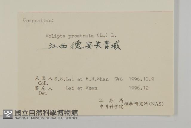 灰木藏品圖，第3張