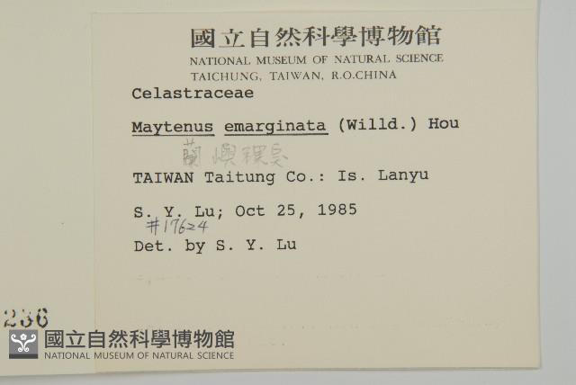 蘭嶼裸實藏品圖，第2張