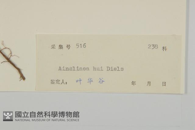 Accession Number:S044078 Collection Image, Figure 3, Total 3 Figures