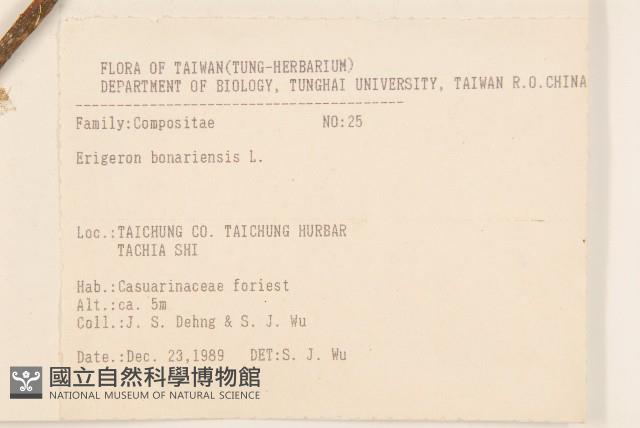 野塘蒿藏品圖，第2張