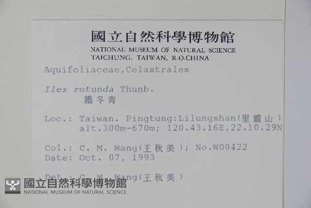 鐵冬青藏品圖，第2張