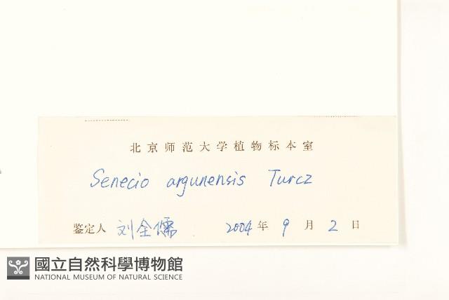 羽葉千里光藏品圖，第3張