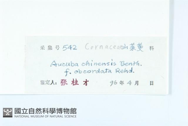 登錄號:S041278藏品圖，第3張