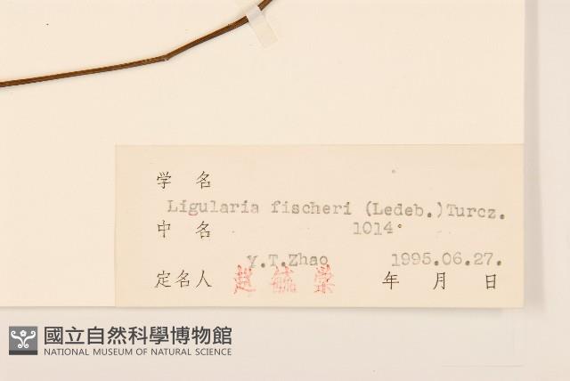 登錄號:S026478藏品圖，第3張