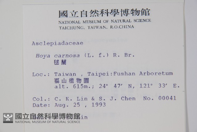 毬蘭藏品圖，第2張