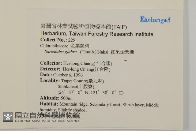 草珊瑚、紅果金粟蘭藏品圖，第2張