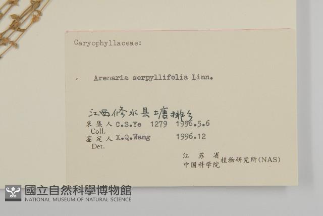 Accession Number:S057178 Collection Image, Figure 3, Total 3 Figures