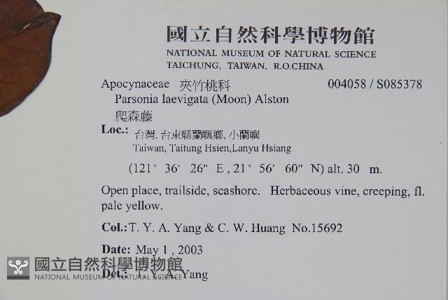 爬森藤藏品圖，第2張