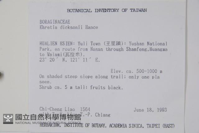 破布烏藏品圖，第2張