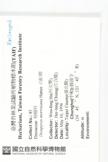 山紅柿藏品圖，第2張