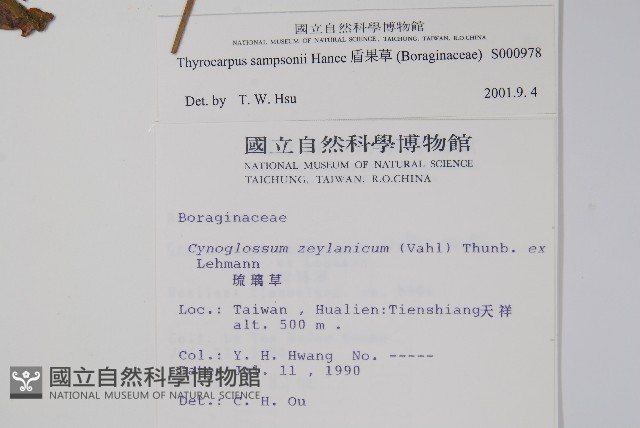 盾果草藏品圖，第2張
