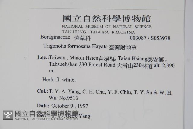 臺灣附地草藏品圖，第2張