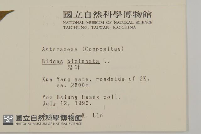 鬼針藏品圖，第2張