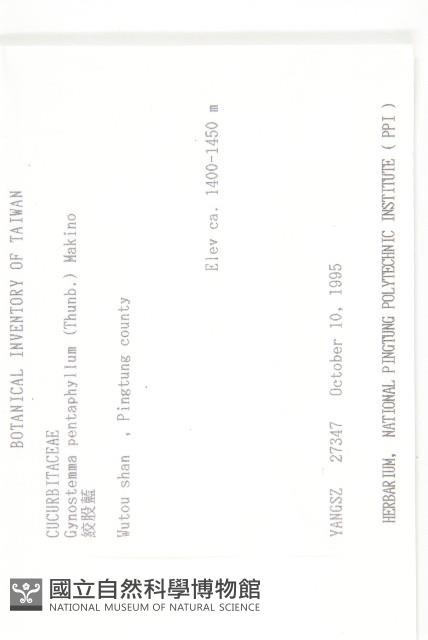 絞股藍藏品圖，第2張