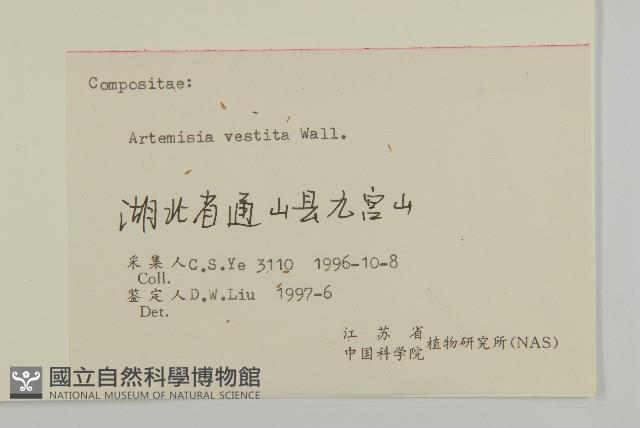 蒿子藏品圖，第3張