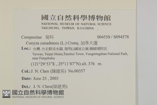 加拿大蓬藏品圖，第2張
