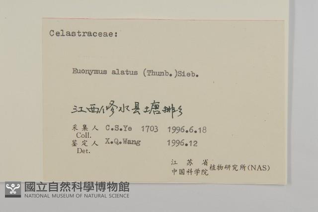 衛矛藏品圖，第3張