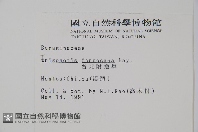 臺灣附地草藏品圖，第2張