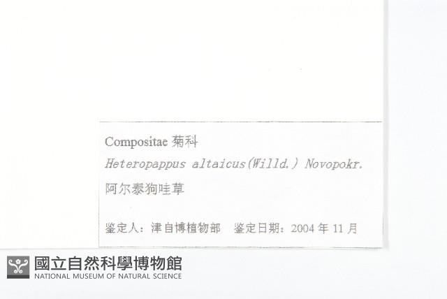 阿爾泰狗哇花藏品圖，第3張