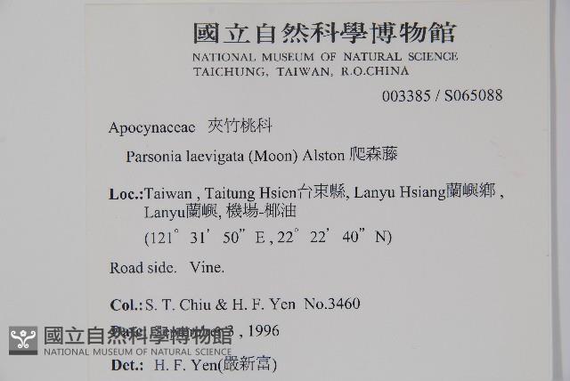 爬森藤藏品圖，第2張