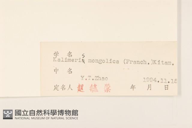 蒙古馬蘭藏品圖，第3張