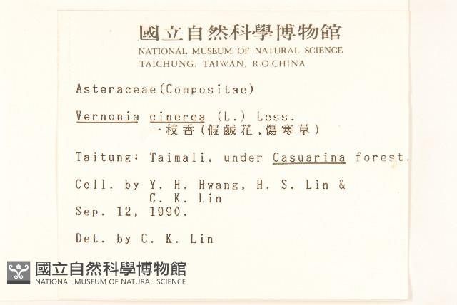 一枝香藏品圖，第2張