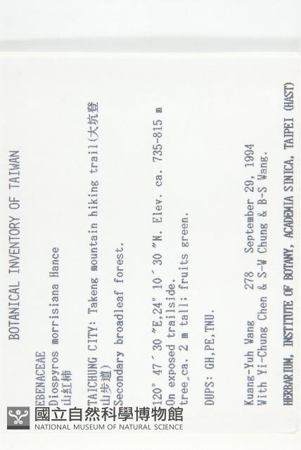 山紅柿藏品圖，第2張