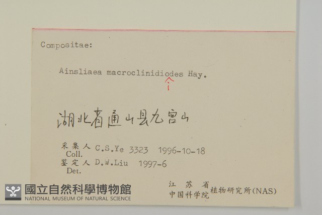 阿里山鬼督郵藏品圖，第3張