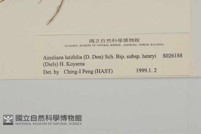 臺灣鬼督郵藏品圖，第3張