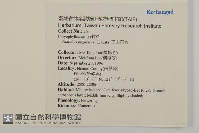 玉山石竹藏品圖，第2張