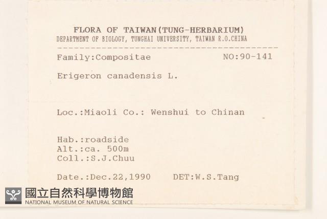 加拿大蓬藏品圖，第2張