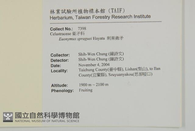 刺果衛矛藏品圖，第2張