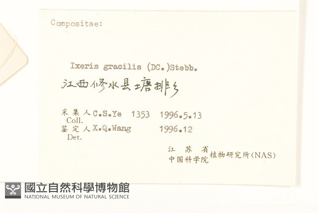 細葉苦實藏品圖，第3張