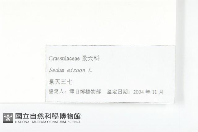 費菜藏品圖，第3張