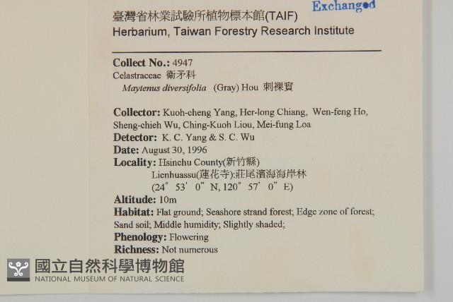 北仲, 刺裸實藏品圖，第2張