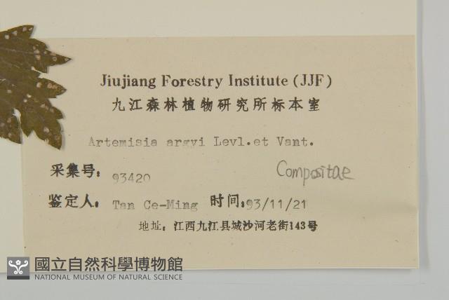 艾蒿藏品圖，第3張