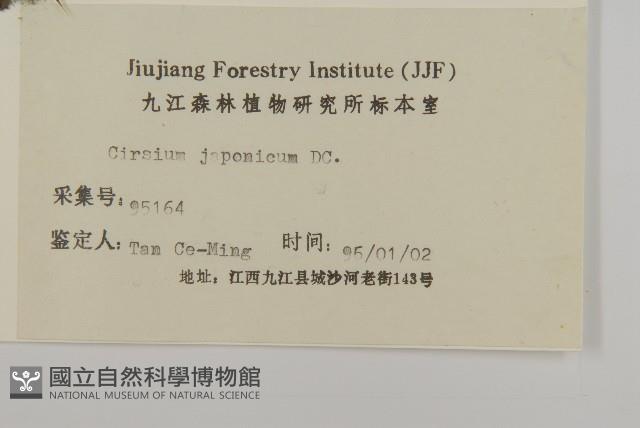 小薊藏品圖，第3張