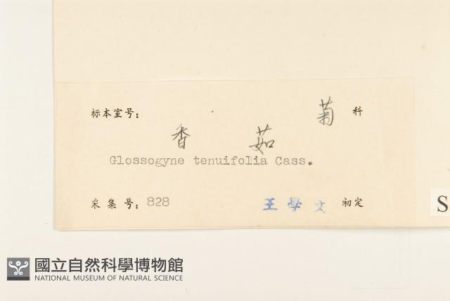 香茹藏品圖，第3張