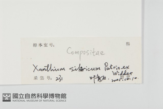蒼耳藏品圖，第3張