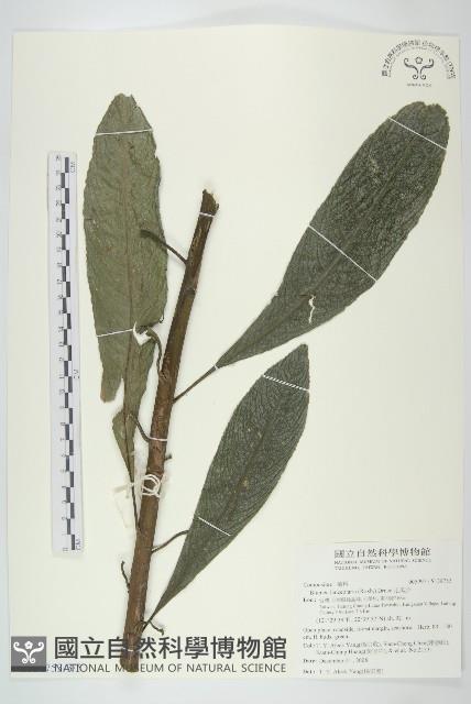 走馬胎藏品圖，第3張