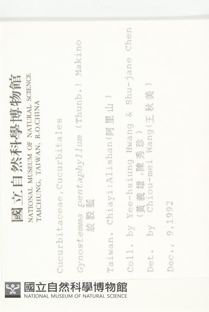 絞股藍藏品圖，第2張