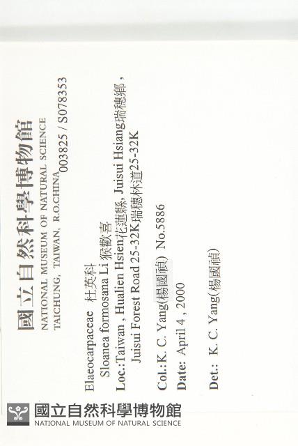 猴歡喜藏品圖，第2張