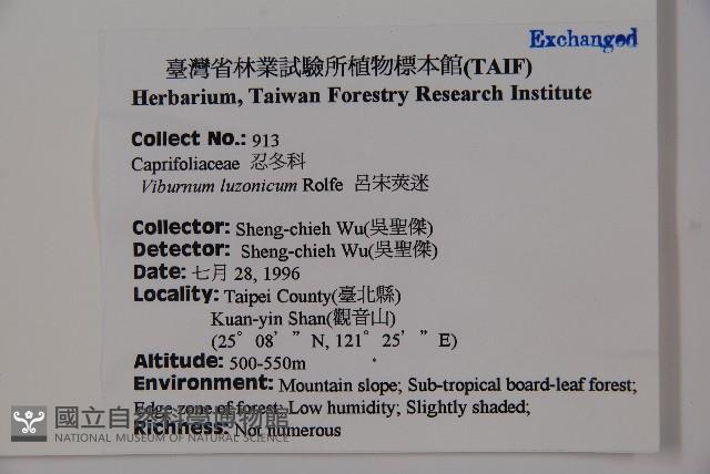 呂宋莢迷藏品圖，第2張