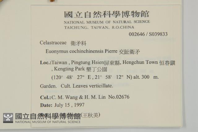 交趾衛矛藏品圖，第2張