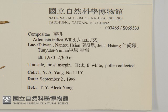 中南蒿藏品圖，第5張