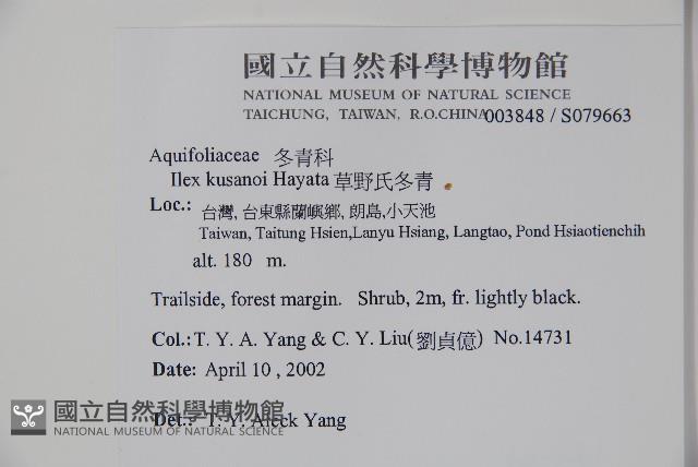 草野氏冬青藏品圖，第2張