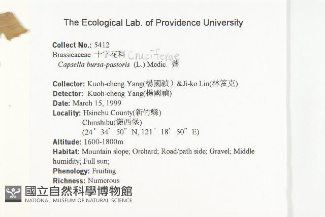 薺藏品圖，第2張