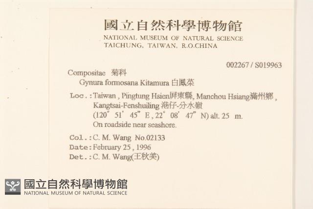 白鳳菜藏品圖，第2張