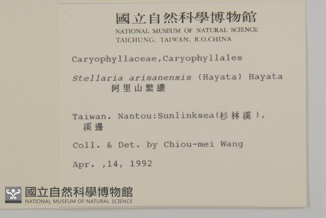 阿里山繁縷藏品圖，第2張