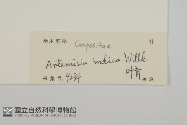 艾、五月艾藏品圖，第3張